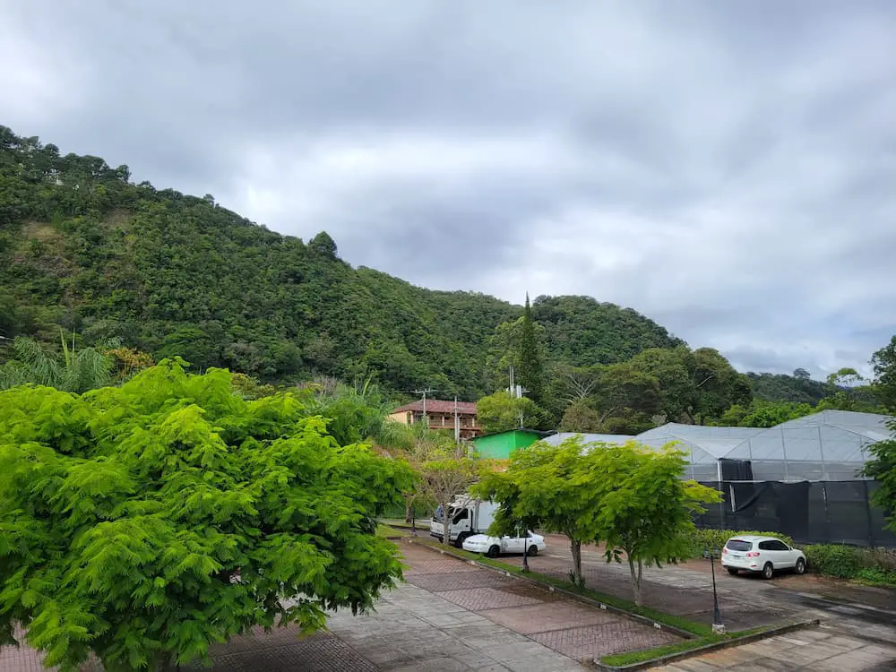 Time Marches on… Getting You Up to Speed - View from Valle del Rio Balcony